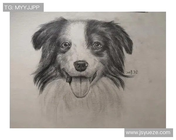 足球明星素描艺术展现经典瞬间与独特风采的视觉盛宴